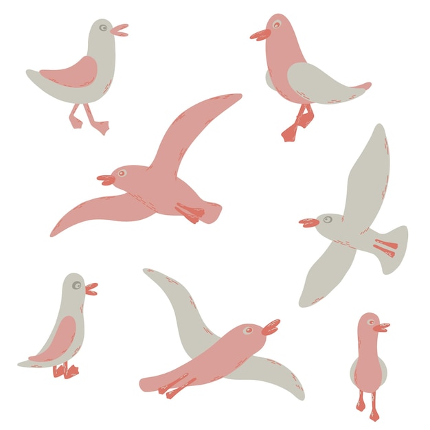 Plik wektorowy kreskówka ptaków morskich atlantyku. 7 mew w płaskim stylu wektorowym