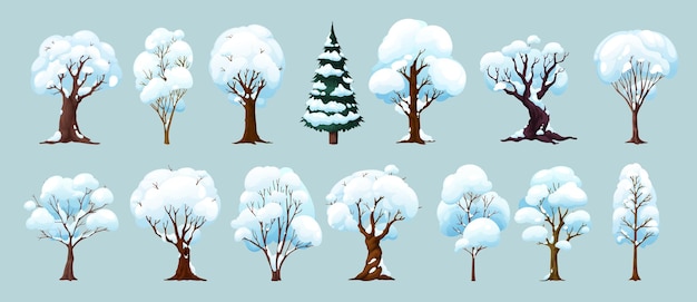 Plik wektorowy kreskówka zimowe drzewa leśne i ogrodowe zestaw roślin