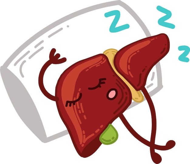 Plik wektorowy kreskówkowa wątroba i odpoczynek zdrowy tryb życia nie przeciąża wątroby