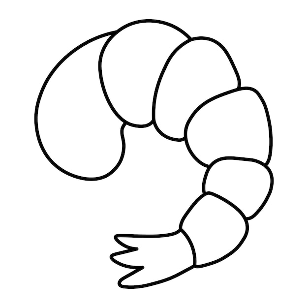 Krewetki w stylu doodle. Owoce morza. Naszkicować. Ogon krewetki.