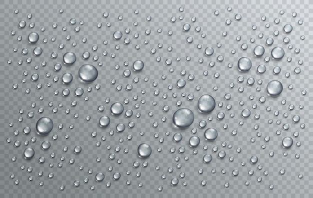 Plik wektorowy krople deszczu wody lub kondensacja pod prysznicem realistyczna przezroczysta kompozycja wektorów 3d na siatce sprawdzania przezroczystości, łatwa do nakładania na dowolne tło lub używania kropel osobno.