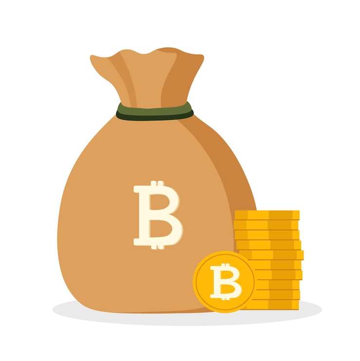 Wektor kryptowaluta bitcoin torba z pieniędzmi bitcoin symbol bitcoina ikona sakiewki z kryptowalutą na białym tle