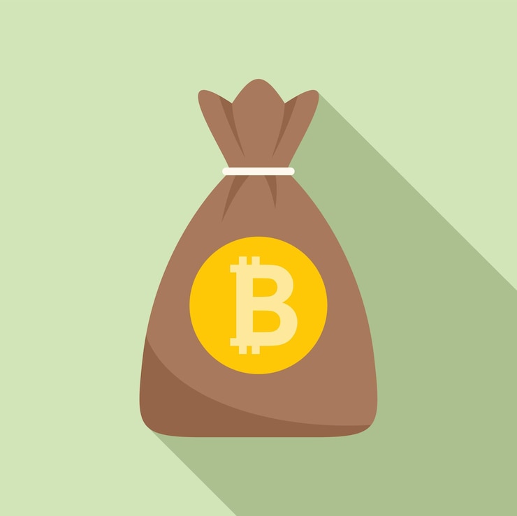 Wektor kryptowaluta worek pieniędzy ikona płaski wektor biznes finansowy płatność finansowa