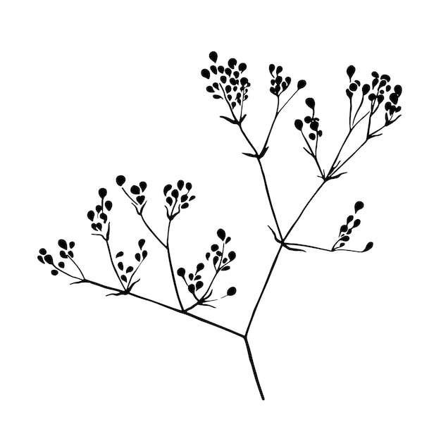 Kwiat gałąź szkic tuszem rysunek ręcznie rysowane dzika roślina sylwetka szczotka malowanie tuszem Czarny wektor