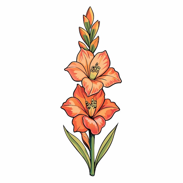 Kwiat Gladiolus w stylu kreskówki Ikona Wektor klipart Ilustracja