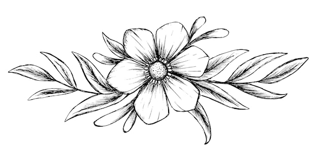 Plik wektorowy kwiat ilustracja odręczny szkic szkic wektor