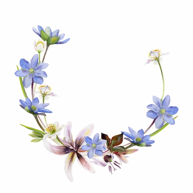 Kwiat leśny wiosny białe anemon primrose fawn pstrąg lilia niebieska hepatica forgetmenot izolowany