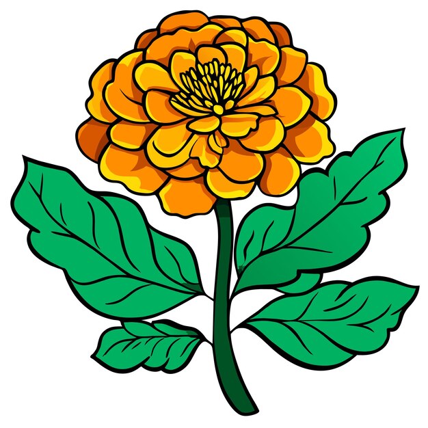 Plik wektorowy kwiat marigold z zielonymi liśćmi