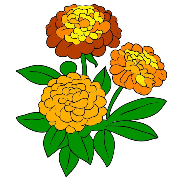 Plik wektorowy kwiat marigold z zielonymi liśćmi