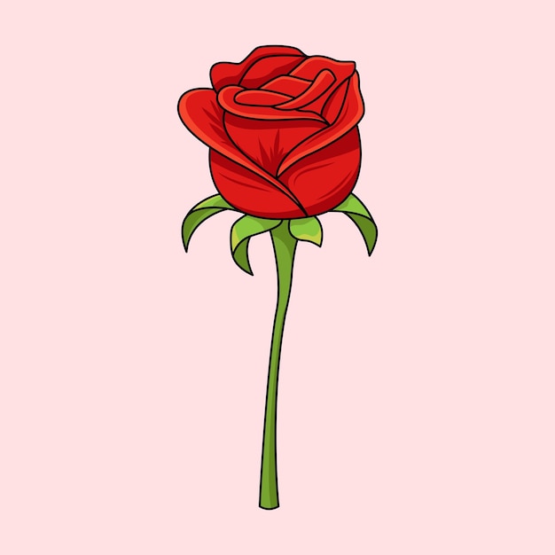 Kwiat Róży