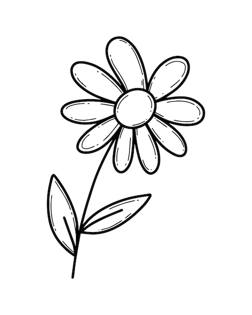 Plik wektorowy kwiat rumianku z płatkami na pniu z liśćmi roślina natura doodle liniowy kolorowanie kreskówek