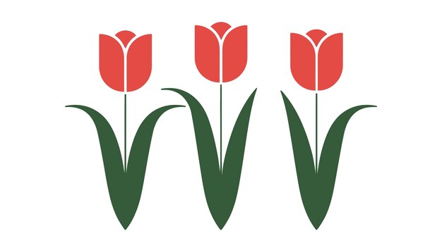 Kwiat tulipanu Wektor minimalistyczny projekt kwiatowy Kwiat wiosenny i sztuka botaniczna
