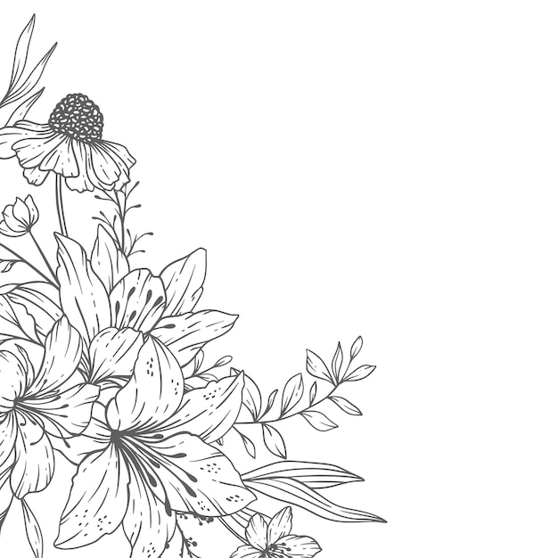 Plik wektorowy kwiatowe ramki grafika liniowa cienka linia wildflower ramki ręcznie rysowane ilustracja konspektu