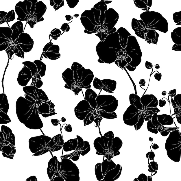 Kwiatowy Wzór Z Czarnymi Sylwetkami Kwiatów Orchidei Na Białym Tle