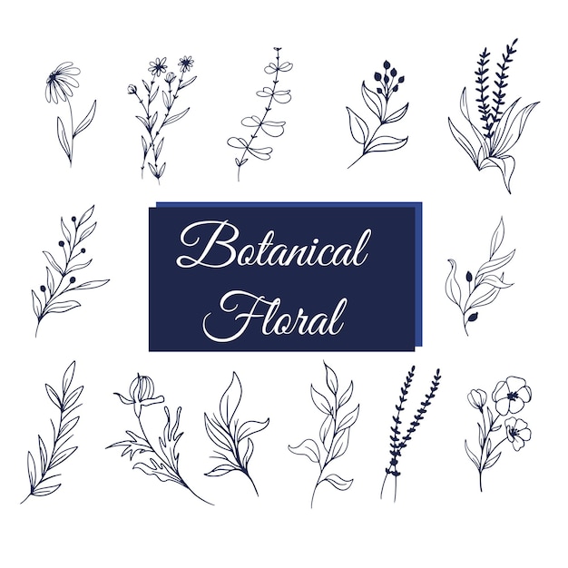 Kwiaty botaniczne
