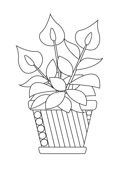 Kwiaty Do Domu Rośliny Ozdobne W Doniczkach Kolorowe Ilustracje Botaniczne Wazon Z Grafiką Liniową Roślin