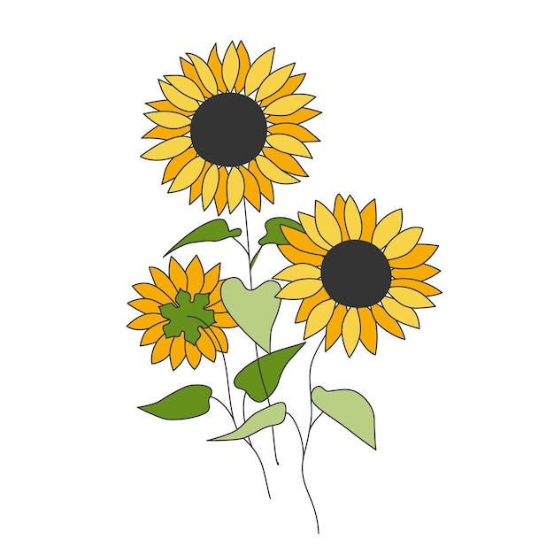 Kwiaty I Liście Słonecznika Projekt Botaniczny Kolor Cienka Linia Doodle Helianthus Motywy Kwiatowe