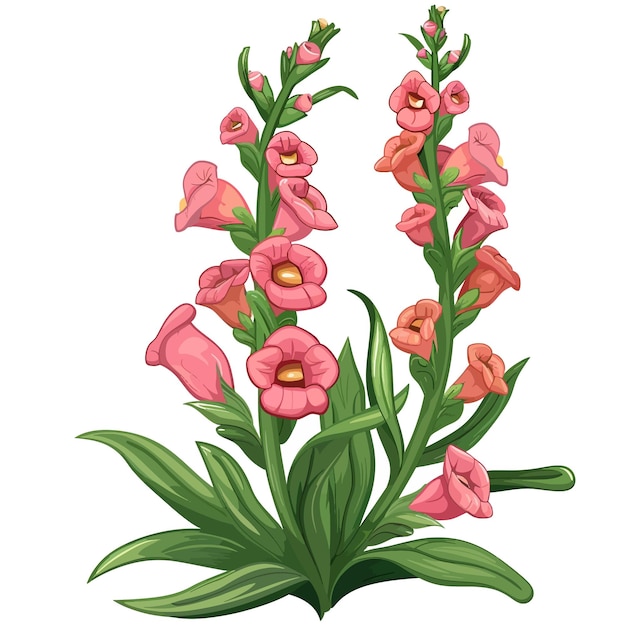 Kwiaty Snapdragon