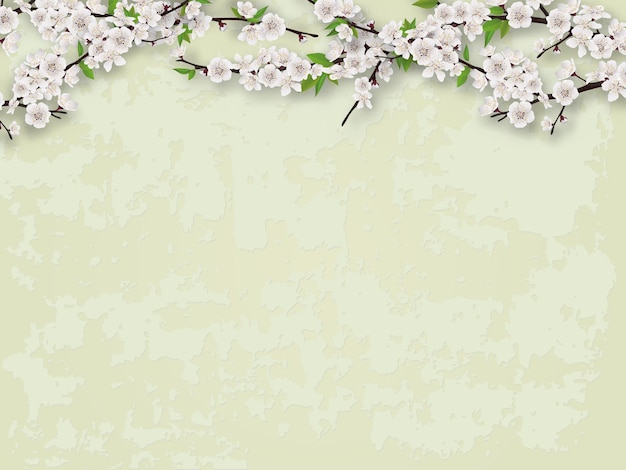 Plik wektorowy kwitnące gałęzie drzewa na tle ściany stiukowej wektor puste na wiosnę ilustracji