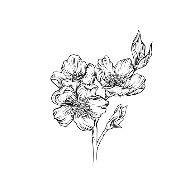 Kwitnący Kwiat Oddział Czarno-biały Ręcznie Rysowane Kwiatowy Wzór Elementu Wektor Ilustracja