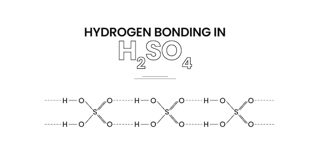 Plik wektorowy Łączenie wodorowe w kwasie siarkowym
