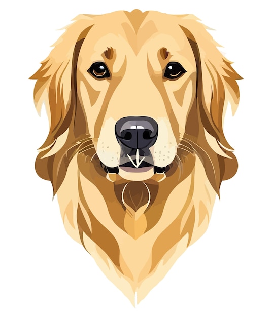 Plik wektorowy Ładny golden retriever psa rasy ilustracji wektorowych z białym tłem