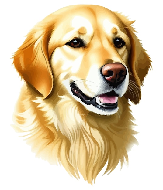 Ładny Golden Retriever Psa Rasy Ilustracji Wektorowych Z Białym Tłem