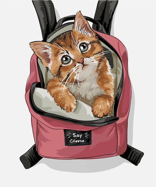 Ładny Kot Różowy Plecak Ilustracja