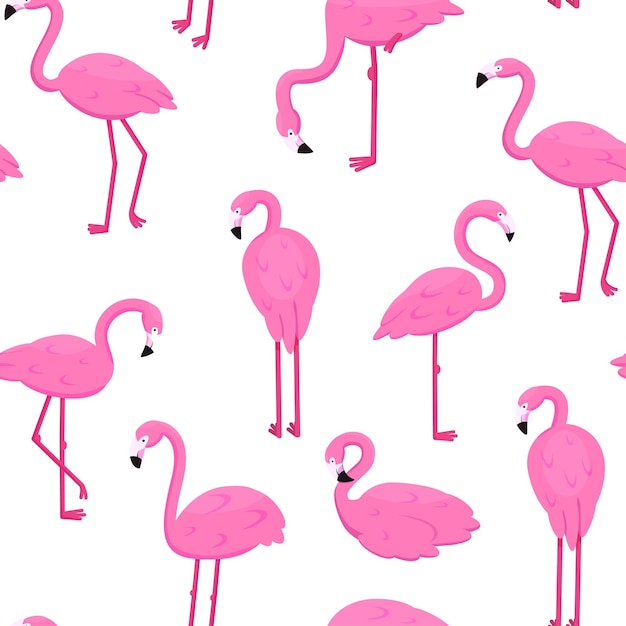Ładny wzór flamingo wiosna lub lato szczęśliwy sztuka tropikalna różowa afryka tapeta lub tkanina moda tło hawaje wystrój papier pakowy tekstylny lub druk tekstura wektor bez szwu