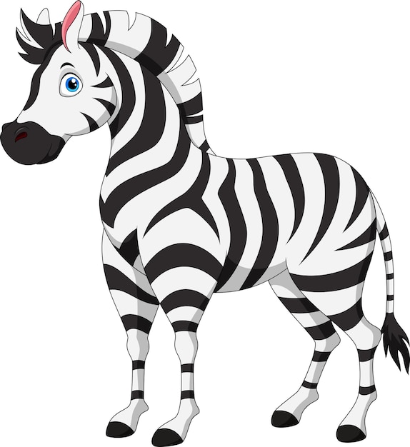 Ładny Zebra Kreskówka Na Białym Tle