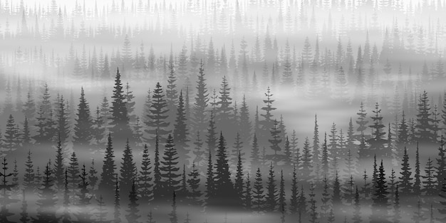 Plik wektorowy las iglasty w porannej mgle czarno-biały krajobraz