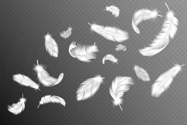 Latające pióra. Spadający, kręcony, puszysty, realistyczny biały łabędź, przepływ piór gołębicy lub anielskich skrzydeł, kolekcja upierzenia miękkich ptaków