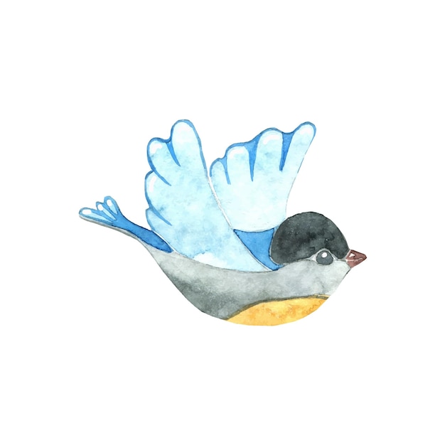 Latający Mały Niebieski Ptaszek