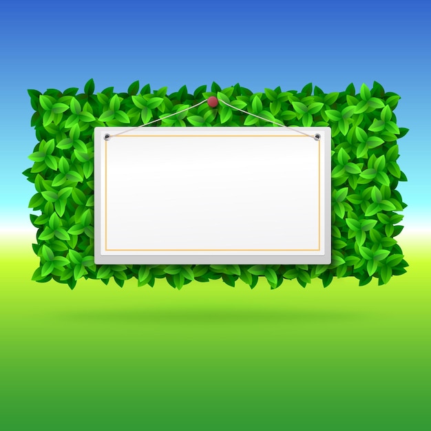 Plik wektorowy lato tło z zielonymi liśćmi i baner do reklamy. ilustracja wektorowa do projektowania i prezentacji.