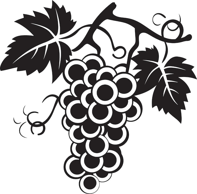 Plik wektorowy legacy vine grape with grapefruit icon design zbior obfitości black vector grapevine emblem