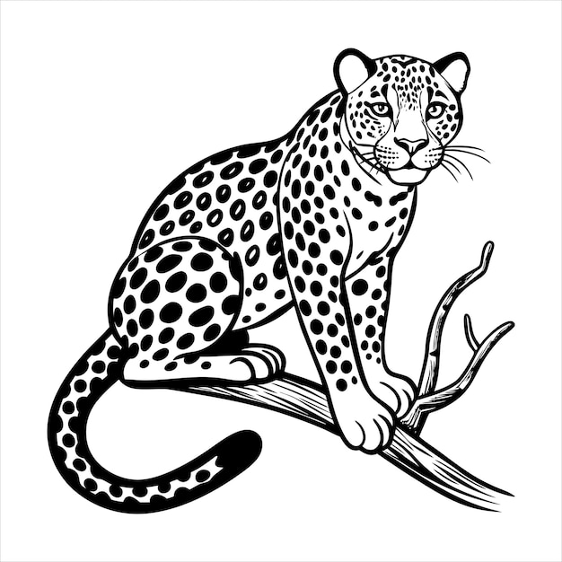 Leopard na gałęzi drzewa SVG