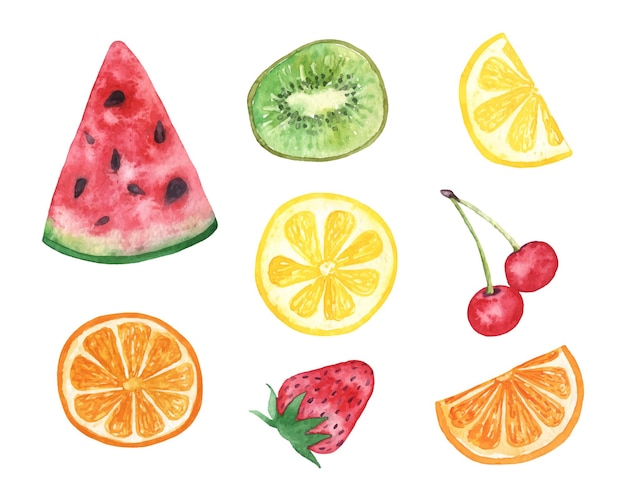 Letnie świeże owoce i jagody Akwarela ilustracja narysowana ręcznie
