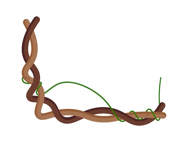 Plik wektorowy liana dżungli rama płaska ilustracja