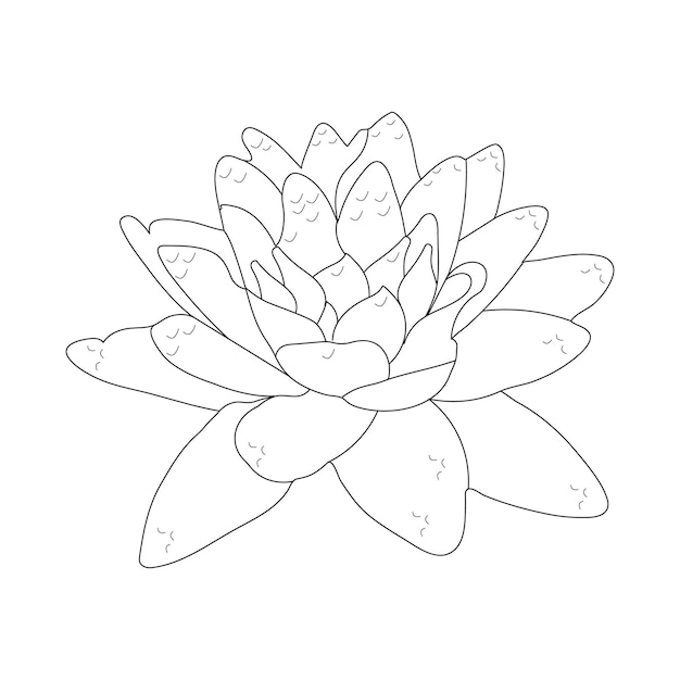 Plik wektorowy lilia wodna kolorowanie strony i szkic kwiatu linii z kwiatową ilustracją wektorową
