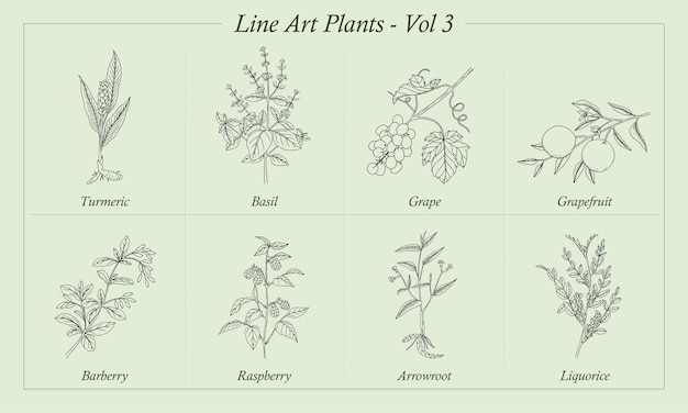 Plik wektorowy line art plants tom 3