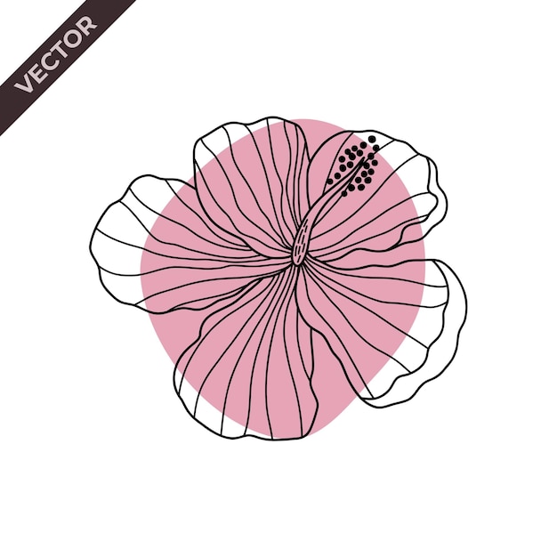 Linia kwiatów hibiskusa z kształtem Ilustracja wektorowa z tematem kwiatów
