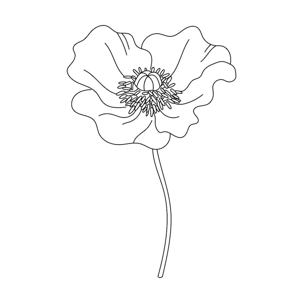 Linia Sztuki Kwiat I Rośliny Estetyczne Ręcznie Rysowane Elementy Projektu