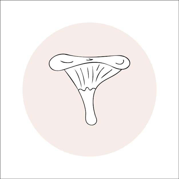 Liniowa ikona grzyba Chanterelle czarna obrys w kręgu Ilustracja wektorowa izolowany boletus doodle