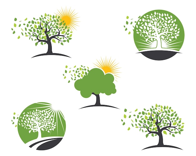 Liść Drzewa Logos Natura Element Wektor Ikona