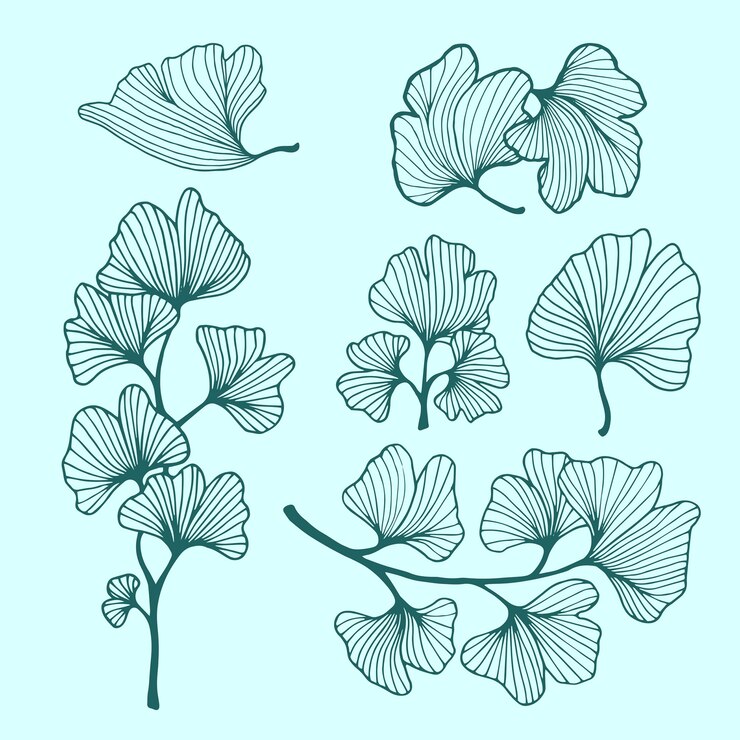 Wektor liść ginkgo