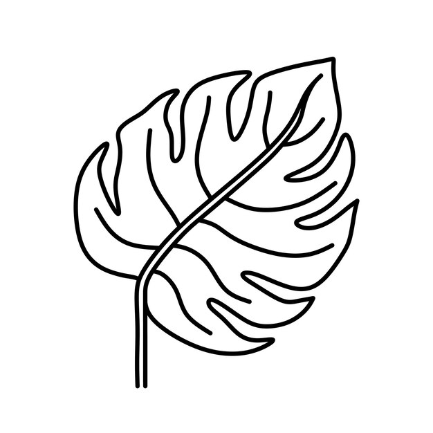 Plik wektorowy liść monstera wyizolowany na białym tle botaniczny klipart w stylu doodle