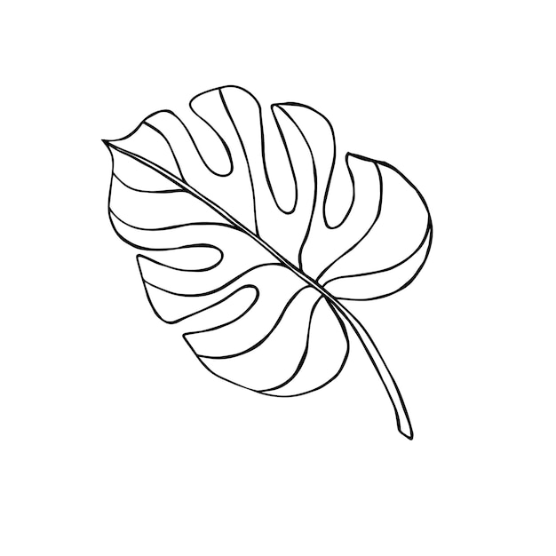 Liść Monstera