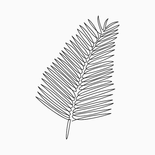 Plik wektorowy liść palmowy jeden rysunek linii linia ciągła egzotyczna roślina handdrawn minimalistyczna ilustracja