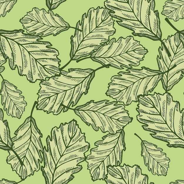 Liście Dębu Grawerowane Bezszwowe Wzór Vintage Tło Botaniczne Z Leśnymi Liśćmi W Ręcznie Rysowane Stylu