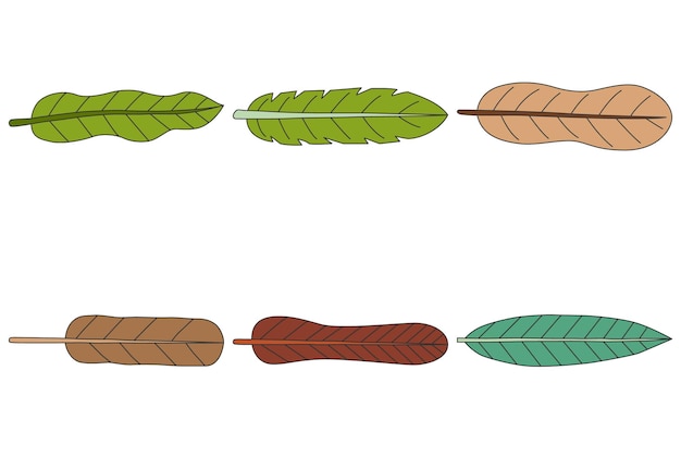 Plik wektorowy liście ręcznie rysowane wektor zestaw ręcznie rysowane elementy dekoracyjne